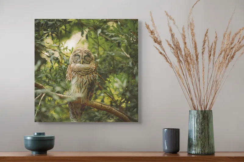 Tablou Canvas, "Bufniță în pădurea liniștită ", Bufniță, Frunziș, Somnoroasă, Crepuscul, Liniște, Natură, Ramură, Camuflaj, Pene, 50 x 50 cm – poza 4