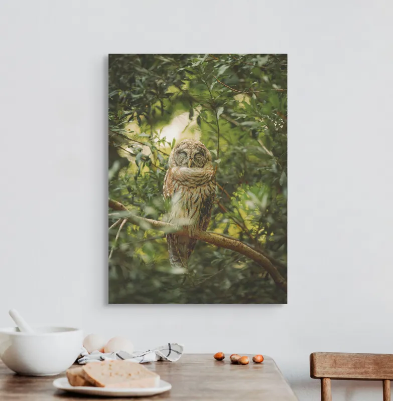 Tablou Canvas, "Bufniță în pădurea liniștită ", Bufniță, Frunziș, Somnoroasă, Crepuscul, Liniște, Natură, Ramură, Camuflaj, Pene, 50 x 70 cm – poza 3