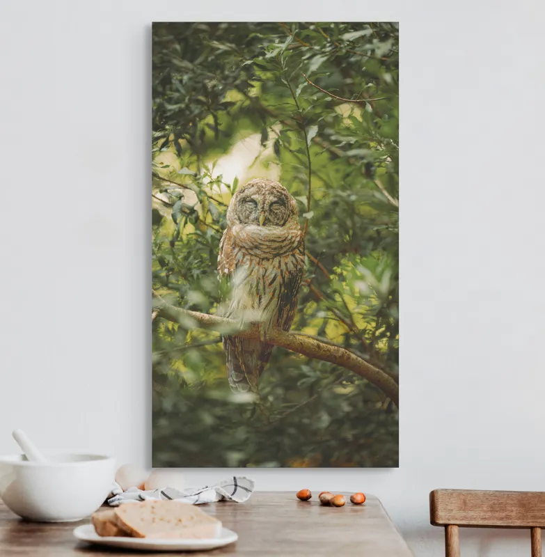 Tablou Canvas, "Bufniță în pădurea liniștită ", Bufniță, Frunziș, Somnoroasă, Crepuscul, Liniște, Natură, Ramură, Camuflaj, Pene, 50 x 90 cm – poza 3
