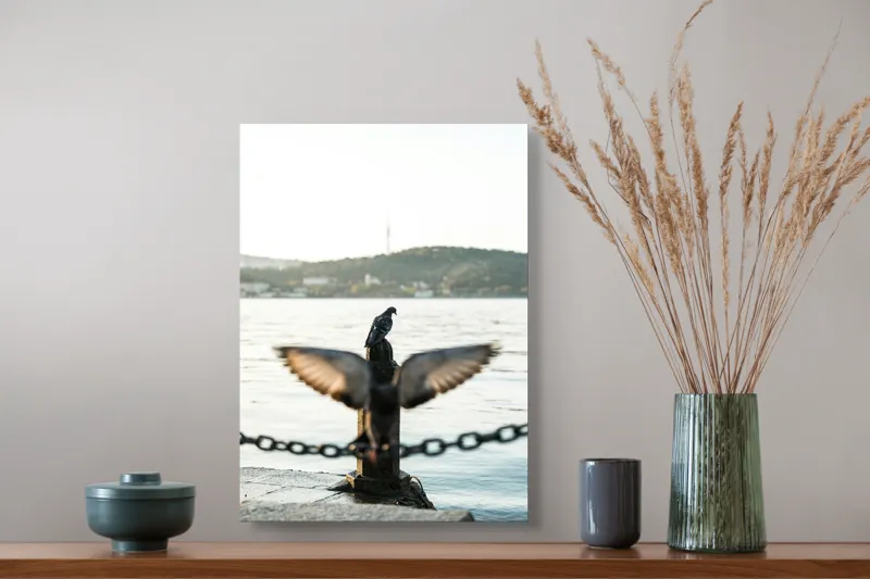 Tablou Canvas, "Porumbel la apus pe malul apei", Porumbel, Zbor, Lumină, Apus, Lac, Natură, Lanț, Tihnă, 39 x 54 cm – poza 3