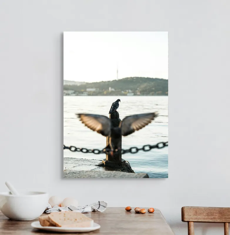 Tablou Canvas, "Porumbel la apus pe malul apei", Porumbel, Zbor, Lumină, Apus, Lac, Natură, Lanț, Tihnă, 50 x 70 cm – poza 3