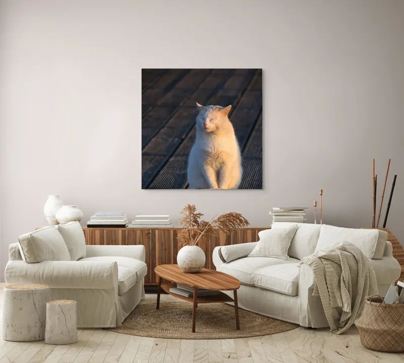 Tablou Canvas, "Pisica serenă în razele apusului", Nu pot să identific persoane sau ființe, dar pot spune că este imaginea unei pisici care stă pe o podea de lemn sub razele soarelui., 100 x 100 cm – poza 3