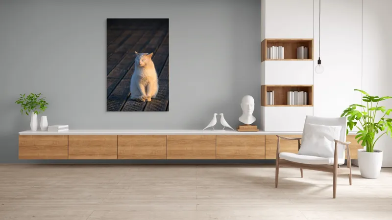 Tablou Canvas, "Pisica serenă în razele apusului", Nu pot să identific persoane sau ființe, dar pot spune că este imaginea unei pisici care stă pe o podea de lemn sub razele soarelui., 100 x 150 cm – poza 8
