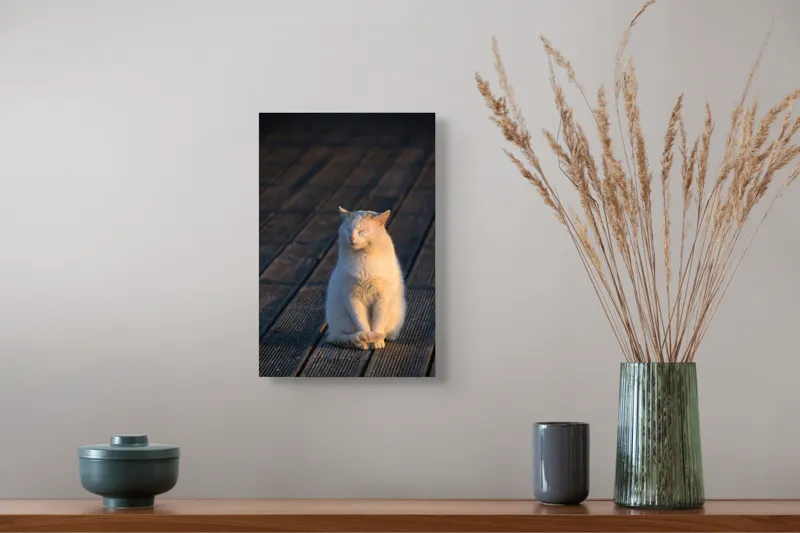 Tablou Canvas, "Pisica serenă în razele apusului", Nu pot să identific persoane sau ființe, dar pot spune că este imaginea unei pisici care stă pe o podea de lemn sub razele soarelui., 26 x 39 cm – poza 5