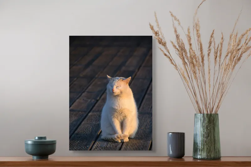 Tablou Canvas, "Pisica serenă în razele apusului", Nu pot să identific persoane sau ființe, dar pot spune că este imaginea unei pisici care stă pe o podea de lemn sub razele soarelui., 39 x 54 cm – poza 3