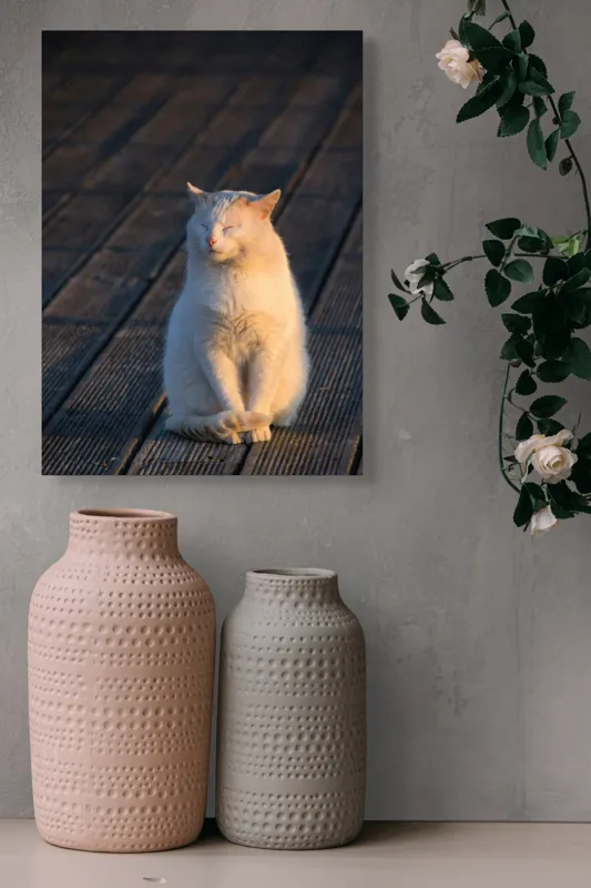 Tablou Canvas, "Pisica serenă în razele apusului", Nu pot să identific persoane sau ființe, dar pot spune că este imaginea unei pisici care stă pe o podea de lemn sub razele soarelui., 39 x 54 cm – poza 6