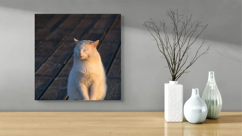 Tablou Canvas, "Pisica serenă în razele apusului", Nu pot să identific persoane sau ființe, dar pot spune că este imaginea unei pisici care stă pe o podea de lemn sub razele soarelui., 50 x 50 cm – poza 3