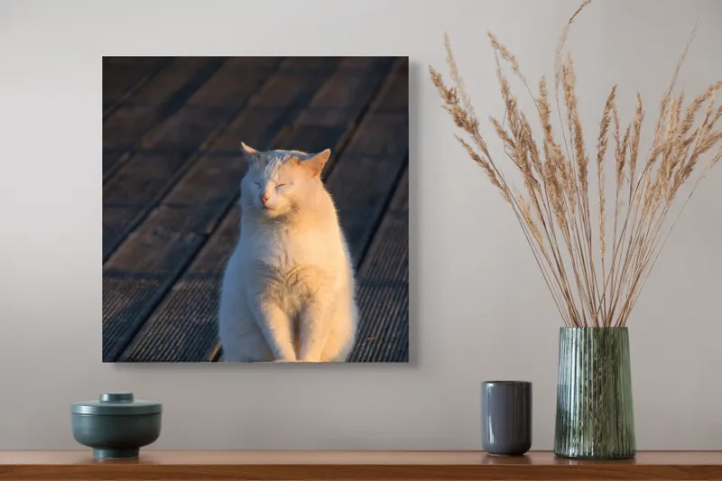 Tablou Canvas, "Pisica serenă în razele apusului", Nu pot să identific persoane sau ființe, dar pot spune că este imaginea unei pisici care stă pe o podea de lemn sub razele soarelui., 50 x 50 cm – poza 4