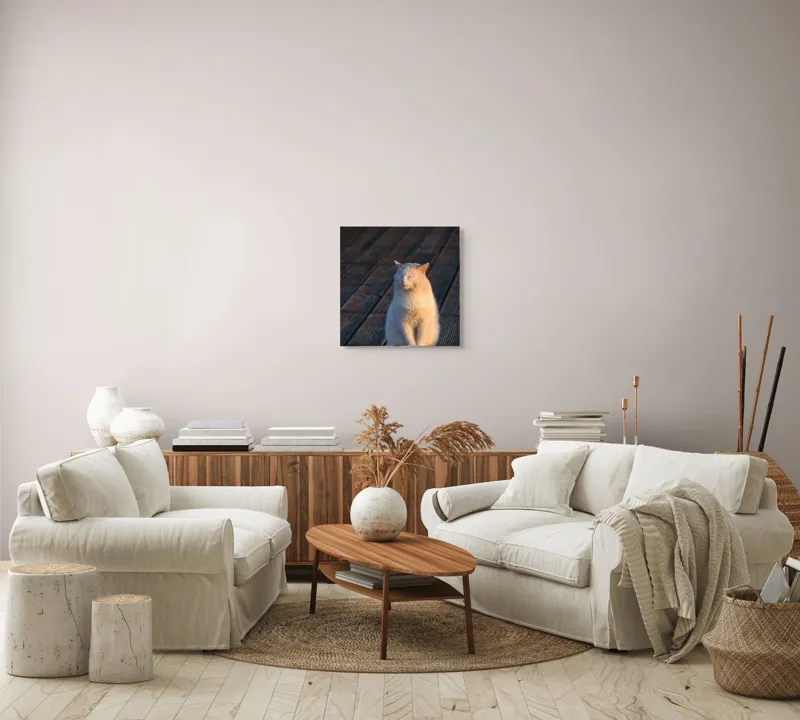 Tablou Canvas, "Pisica serenă în razele apusului", Nu pot să identific persoane sau ființe, dar pot spune că este imaginea unei pisici care stă pe o podea de lemn sub razele soarelui., 50 x 50 cm – poza 7