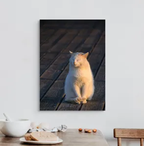 Tablou Canvas, "Pisica serenă în razele apusului", 50 x 70 cm – poza 3