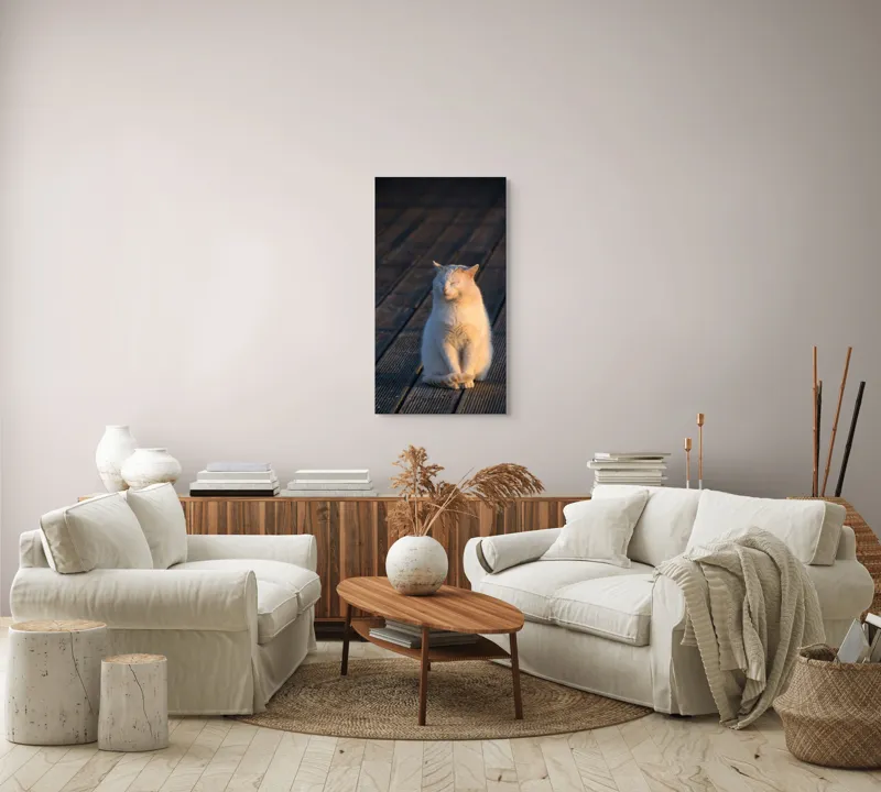 Tablou Canvas, "Pisica serenă în razele apusului", 50 x 90 cm – poza 7