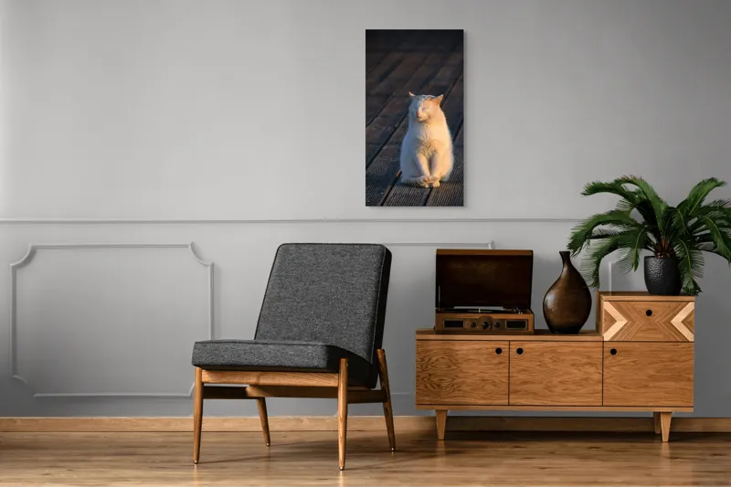 Tablou Canvas, "Pisica serenă în razele apusului", 50 x 90 cm – poza 8