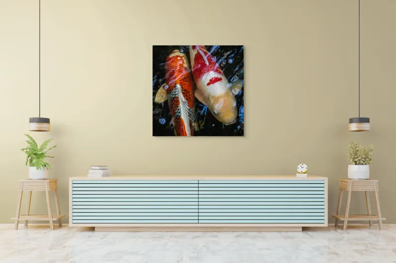Tablou Canvas, "Dansul liniștit al peștilor koi", Pești, Apă, Culori, Reflecții, Natură, Liniște, Mișcare, Armonie, 100 x 100 cm – poza 5