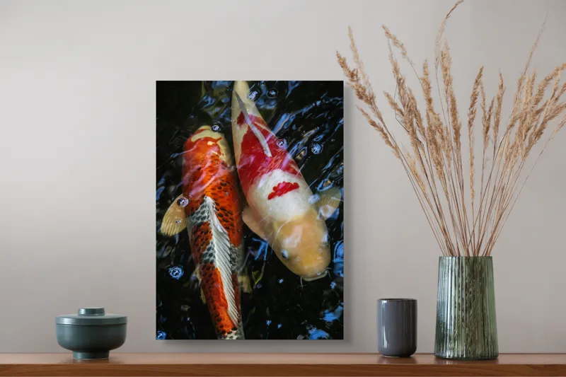 Tablou Canvas, "Dansul liniștit al peștilor koi", Pești, Apă, Culori, Reflecții, Natură, Liniște, Mișcare, Armonie, 39 x 54 cm – poza 3