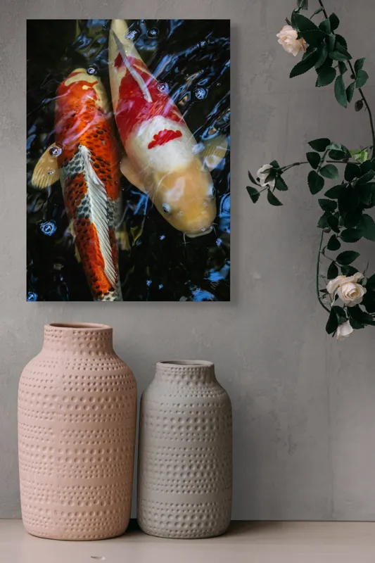 Tablou Canvas, "Dansul liniștit al peștilor koi", Pești, Apă, Culori, Reflecții, Natură, Liniște, Mișcare, Armonie, 39 x 54 cm – poza 6