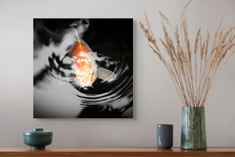 Tablou Canvas, "Peștișorul de aur în apă întunecată", Pește, Apă, Unde, Reflecție, Koi, Contrast, Înot., 50 x 50 cm – poza 4