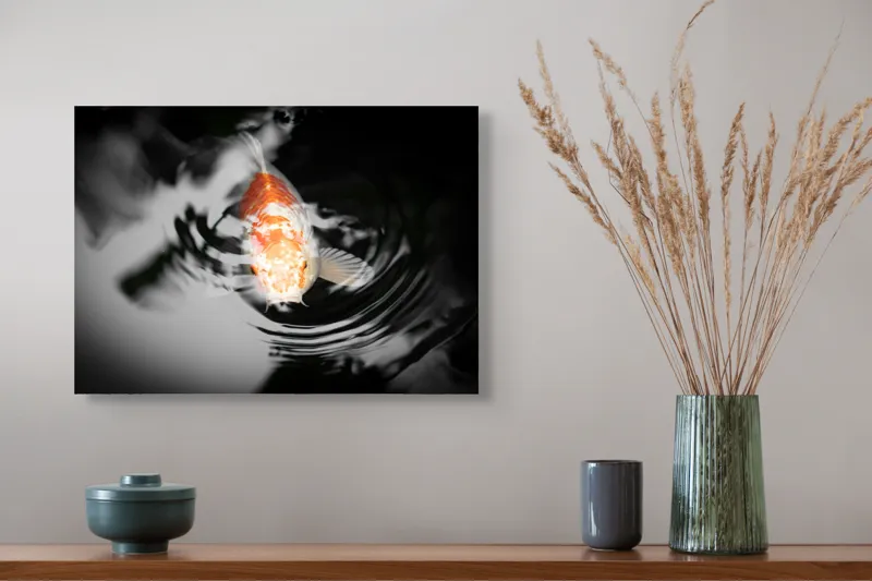 Tablou Canvas, "Peștișorul de aur în apă întunecată", Pește, Apă, Unde, Reflecție, Koi, Contrast, Înot., 54 x 39 cm – poza 4