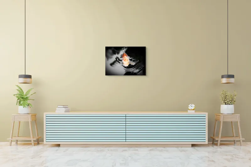 Tablou Canvas, "Peștișorul de aur în apă întunecată", Pește, Apă, Unde, Reflecție, Koi, Contrast, Înot., 70 x 50 cm – poza 7