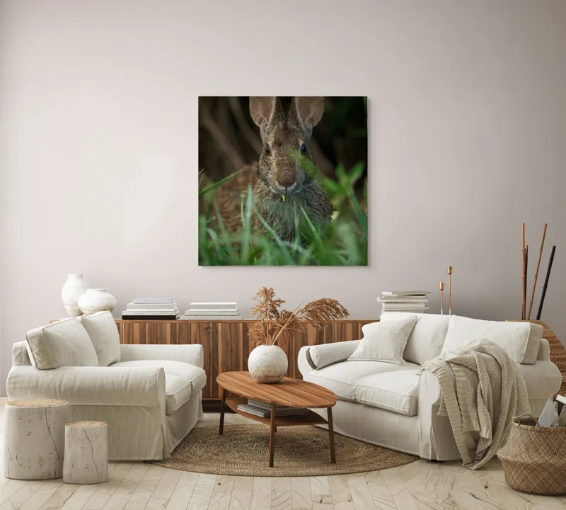 Tablou Canvas, "Urechile curioase ale iepurelui atent", Iepure, Urechi, Blană, Verdeață, Ochii Curioși, Natură, Fundal Neclar, Animal Sălbatic, Fire De Iarbă, 100 x 100 cm – poza 3