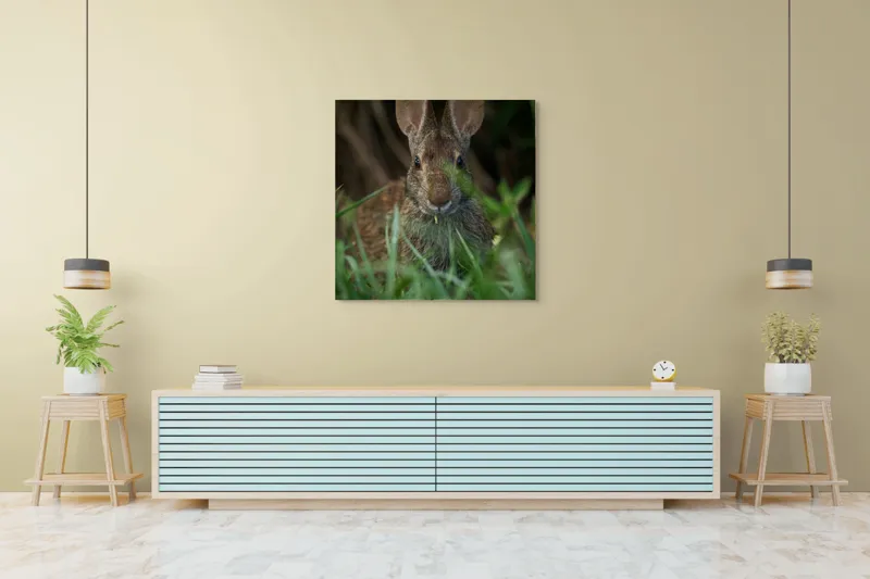 Tablou Canvas, "Urechile curioase ale iepurelui atent", Iepure, Urechi, Blană, Verdeață, Ochii Curioși, Natură, Fundal Neclar, Animal Sălbatic, Fire De Iarbă, 100 x 100 cm – poza 5
