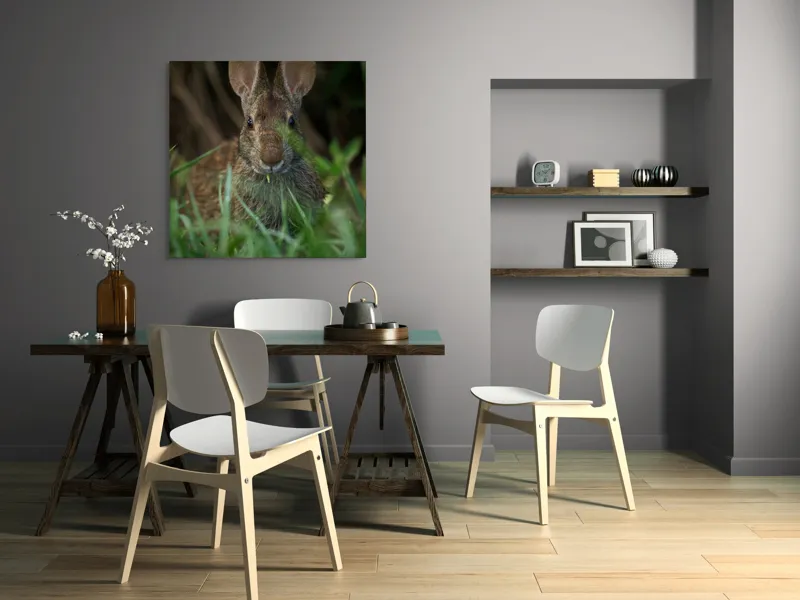 Tablou Canvas, "Urechile curioase ale iepurelui atent", Iepure, Urechi, Blană, Verdeață, Ochii Curioși, Natură, Fundal Neclar, Animal Sălbatic, Fire De Iarbă, 100 x 100 cm – poza 6