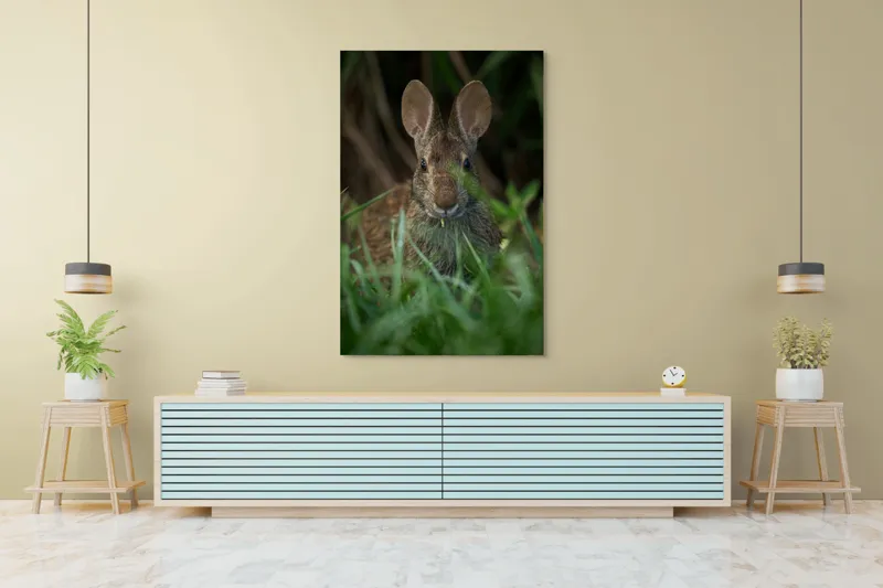 Tablou Canvas, "Urechile curioase ale iepurelui atent", Iepure, Urechi, Blană, Verdeață, Ochii Curioși, Natură, Fundal Neclar, Animal Sălbatic, Fire De Iarbă, 100 x 150 cm – poza 4