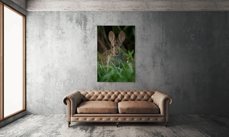 Tablou Canvas, "Urechile curioase ale iepurelui atent", Iepure, Urechi, Blană, Verdeață, Ochii Curioși, Natură, Fundal Neclar, Animal Sălbatic, Fire De Iarbă, 100 x 150 cm – poza 6