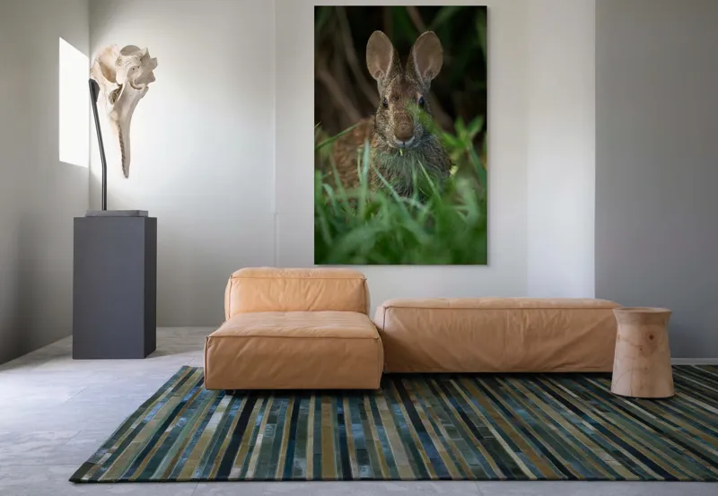 Tablou Canvas, "Urechile curioase ale iepurelui atent", Iepure, Urechi, Blană, Verdeață, Ochii Curioși, Natură, Fundal Neclar, Animal Sălbatic, Fire De Iarbă, 100 x 150 cm – poza 7