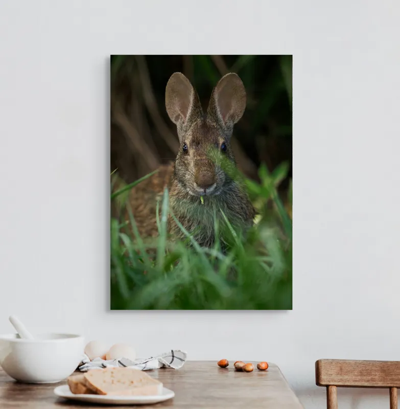 Tablou Canvas, "Urechile curioase ale iepurelui atent", Iepure, Urechi, Blană, Verdeață, Ochii Curioși, Natură, Fundal Neclar, Animal Sălbatic, Fire De Iarbă, 50 x 70 cm – poza 3