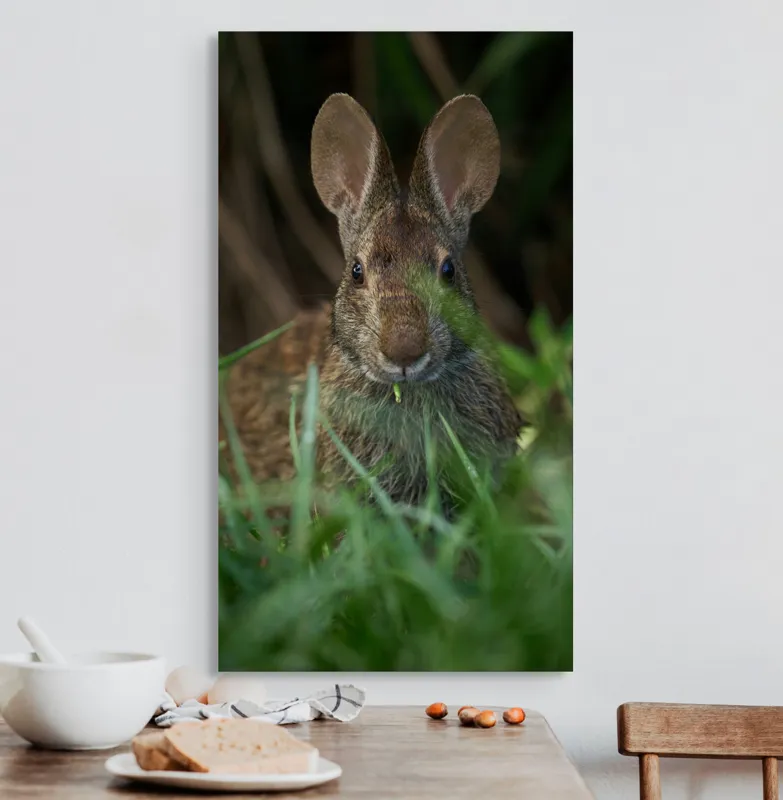 Tablou Canvas, "Urechile curioase ale iepurelui atent", Iepure, Urechi, Blană, Verdeață, Ochii Curioși, Natură, Fundal Neclar, Animal Sălbatic, Fire De Iarbă, 50 x 90 cm – poza 3