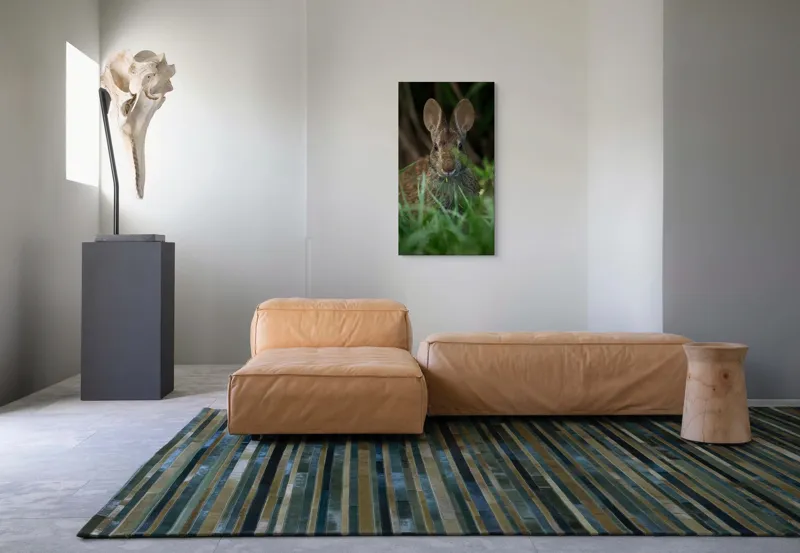 Tablou Canvas, "Urechile curioase ale iepurelui atent", Iepure, Urechi, Blană, Verdeață, Ochii Curioși, Natură, Fundal Neclar, Animal Sălbatic, Fire De Iarbă, 50 x 90 cm – poza 5