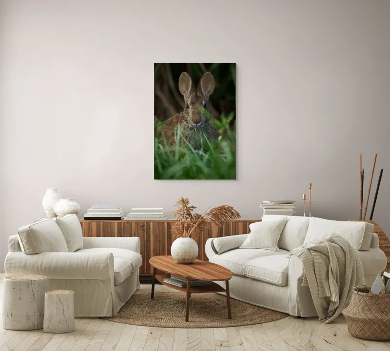 Tablou Canvas, "Urechile curioase ale iepurelui atent", Iepure, Urechi, Blană, Verdeață, Ochii Curioși, Natură, Fundal Neclar, Animal Sălbatic, Fire De Iarbă, 70 x 100 cm – poza 4