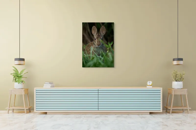 Tablou Canvas, "Urechile curioase ale iepurelui atent", Iepure, Urechi, Blană, Verdeață, Ochii Curioși, Natură, Fundal Neclar, Animal Sălbatic, Fire De Iarbă, 70 x 100 cm – poza 5