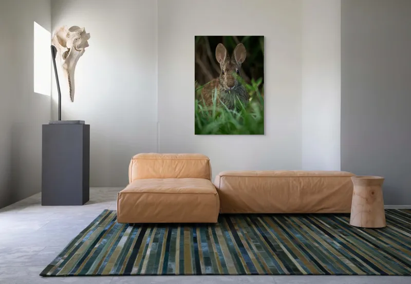 Tablou Canvas, "Urechile curioase ale iepurelui atent", Iepure, Urechi, Blană, Verdeață, Ochii Curioși, Natură, Fundal Neclar, Animal Sălbatic, Fire De Iarbă, 70 x 100 cm – poza 7