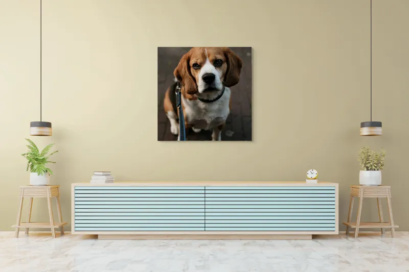 Tablou Canvas, "Beagle privind încrezător spre tine", 100 x 100 cm – poza 5