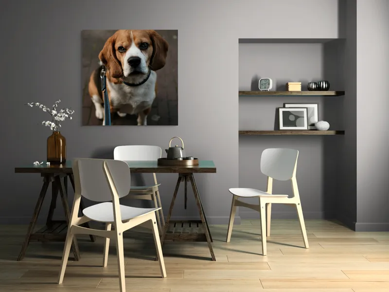 Tablou Canvas, "Beagle privind încrezător spre tine", 100 x 100 cm – poza 6