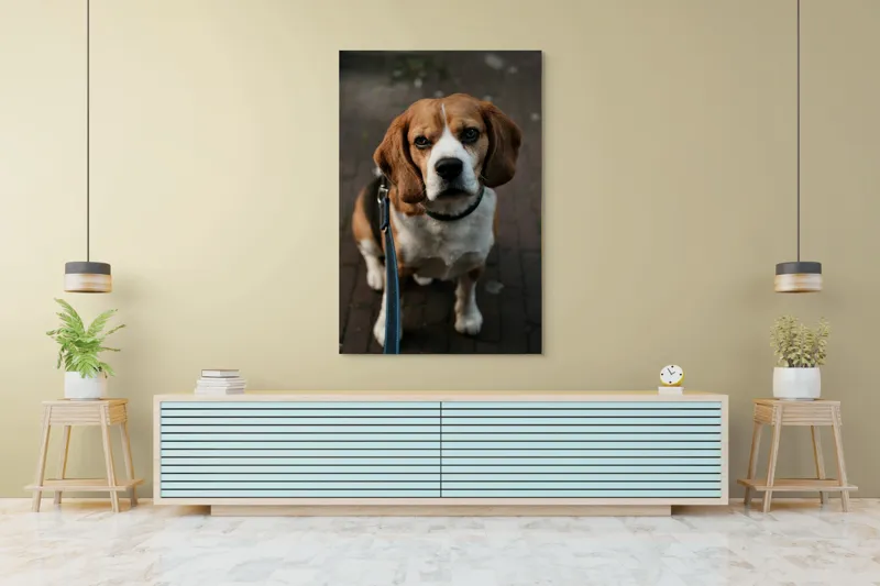 Tablou Canvas, "Beagle privind încrezător spre tine", Nu știu cine este în imagine., 100 x 150 cm – poza 4