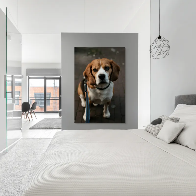 Tablou Canvas, "Beagle privind încrezător spre tine", Nu știu cine este în imagine., 100 x 150 cm – poza 5