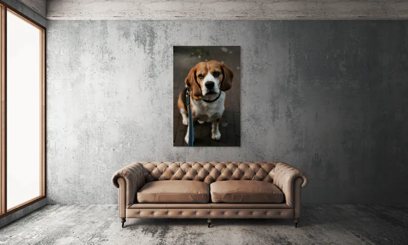 Tablou Canvas, "Beagle privind încrezător spre tine", Nu știu cine este în imagine., 100 x 150 cm – poza 6