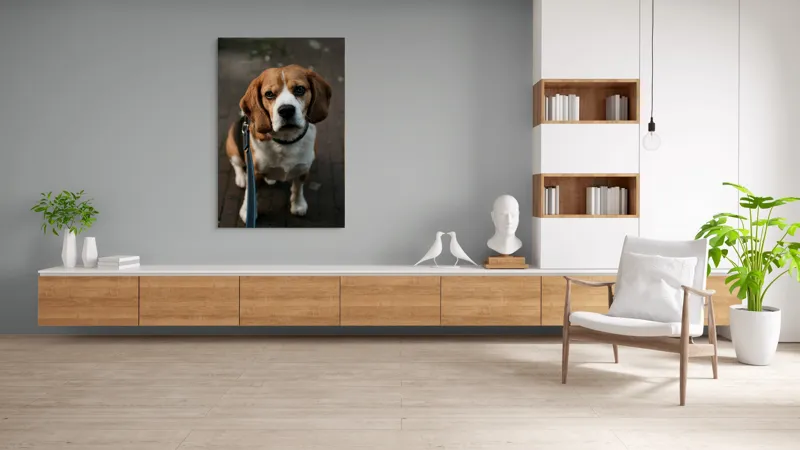 Tablou Canvas, "Beagle privind încrezător spre tine", Nu știu cine este în imagine., 100 x 150 cm – poza 8