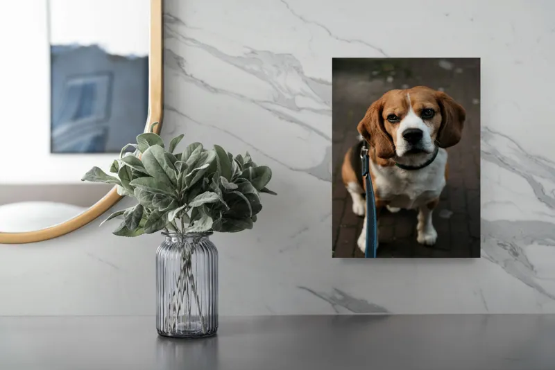 Tablou Canvas, "Beagle privind încrezător spre tine", Nu știu cine este în imagine., 26 x 39 cm – poza 4