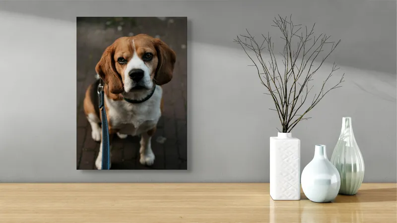 Tablou Canvas, "Beagle privind încrezător spre tine", Nu știu cine este în imagine., 39 x 54 cm – poza 4