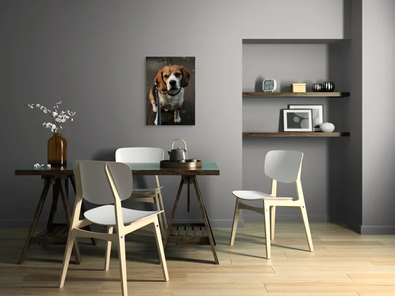 Tablou Canvas, "Beagle privind încrezător spre tine", Nu știu cine este în imagine., 50 x 70 cm – poza 5