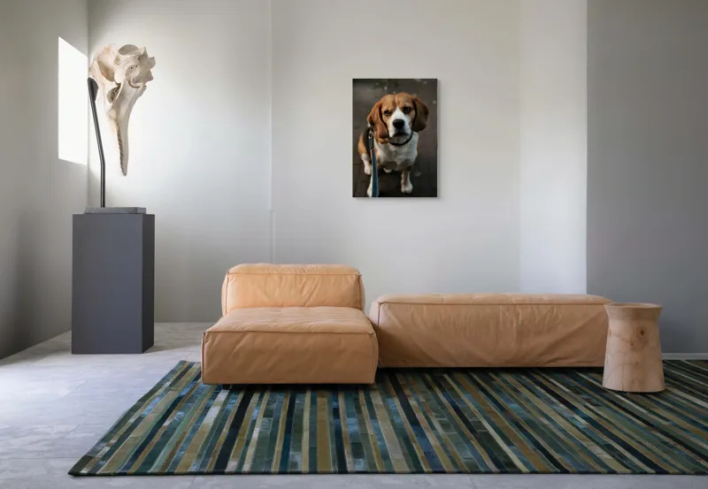 Tablou Canvas, "Beagle privind încrezător spre tine", Nu știu cine este în imagine., 50 x 70 cm – poza 7