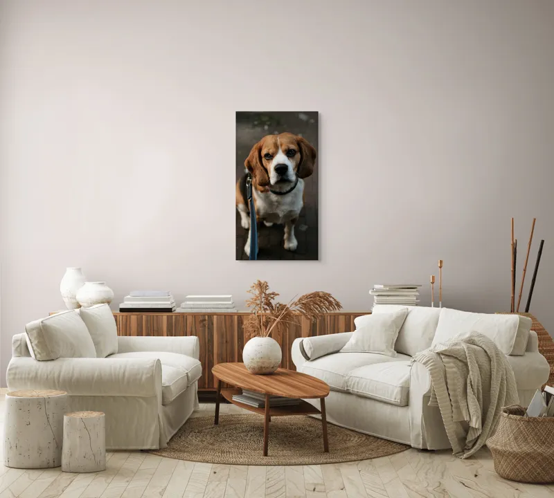 Tablou Canvas, "Beagle privind încrezător spre tine", Nu știu cine este în imagine., 50 x 90 cm – poza 7