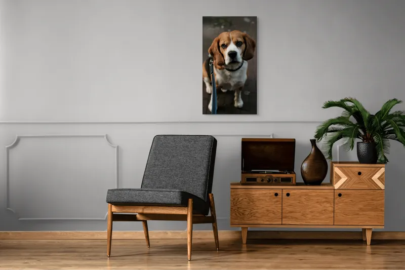 Tablou Canvas, "Beagle privind încrezător spre tine", Nu știu cine este în imagine., 50 x 90 cm – poza 8