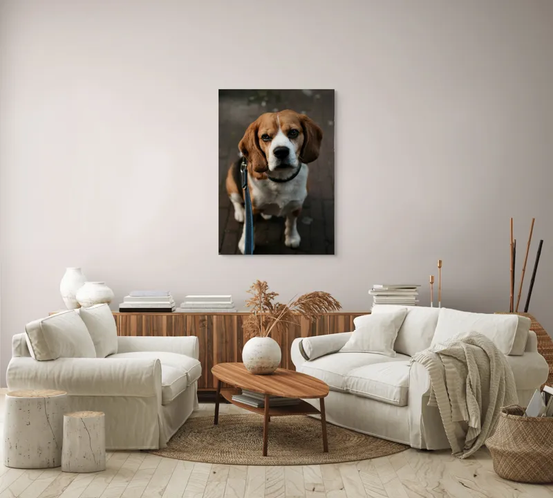 Tablou Canvas, "Beagle privind încrezător spre tine", 70 x 100 cm – poza 4