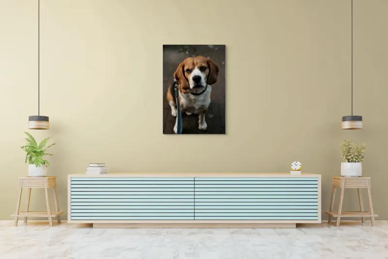 Tablou Canvas, "Beagle privind încrezător spre tine", 70 x 100 cm – poza 5