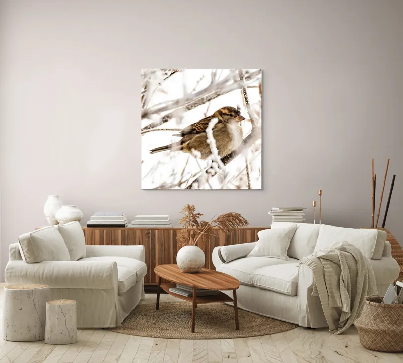 Tablou Canvas, "Vrăbiuță odihnindu-se printre crengi înghețate", Pasăre, Iarnă, Ramuri, Zăpadă, Delicatețe, Frig, Natură, Tandrețe, Supraviețuire, Frumusețe., 100 x 100 cm – poza 3
