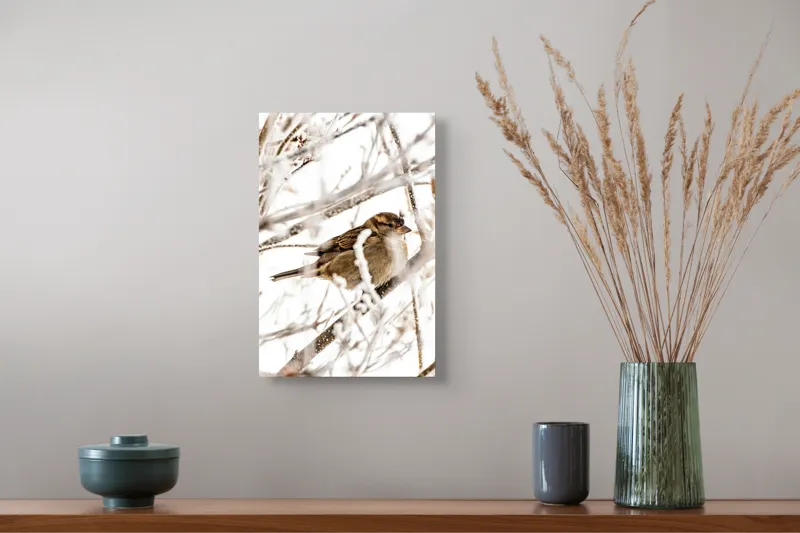 Tablou Canvas, "Vrăbiuță odihnindu-se printre crengi înghețate", Pasăre, Iarnă, Ramuri, Zăpadă, Delicatețe, Frig, Natură, Tandrețe, Supraviețuire, Frumusețe., 26 x 39 cm – poza 5